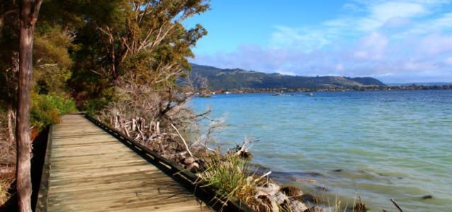 Rotorua Walkway
