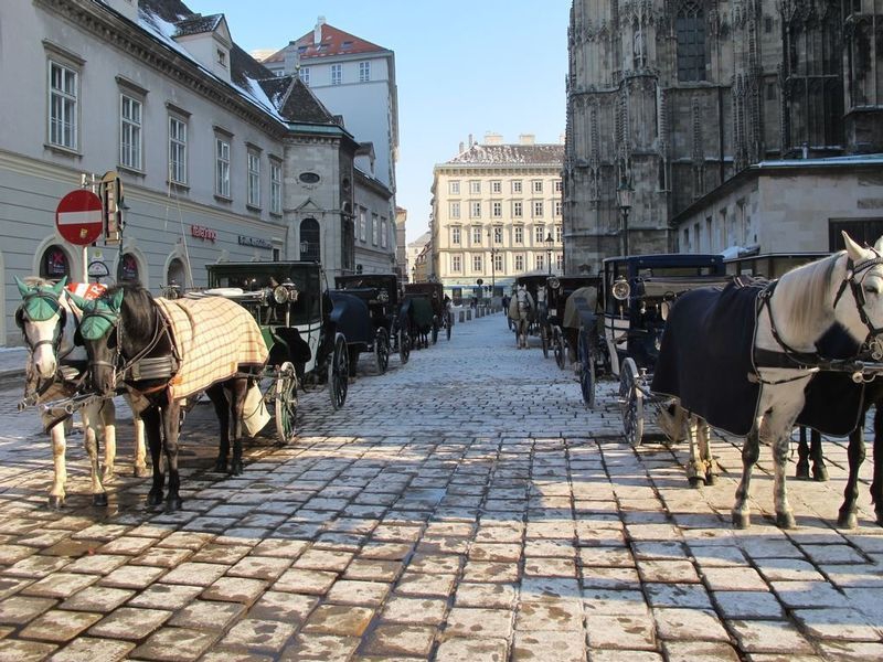 Vienna Horsedrawn Carriages