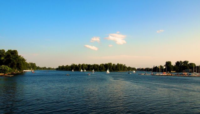 The Danube Island and its Festival