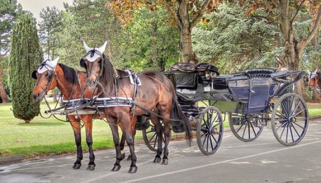A Carriage Ride through the Cemetery...